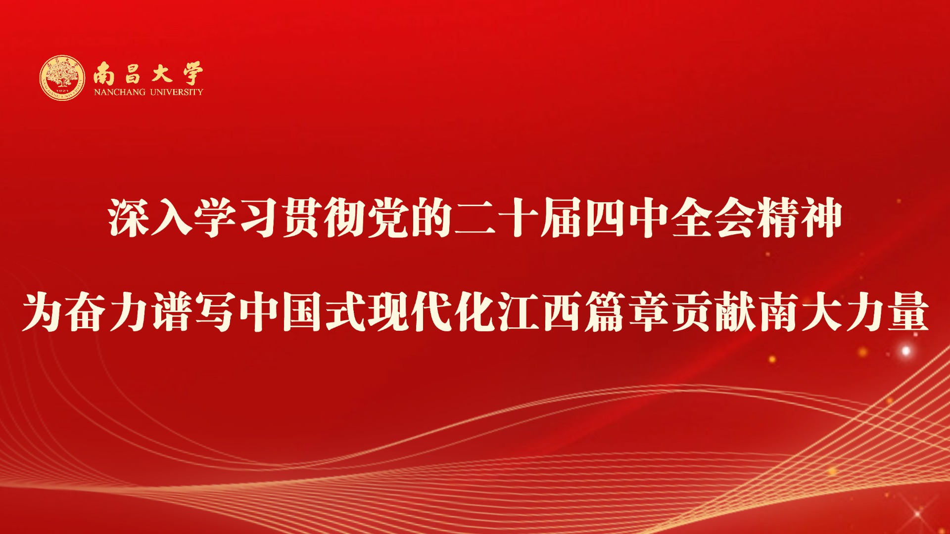 二十届四中全会精神